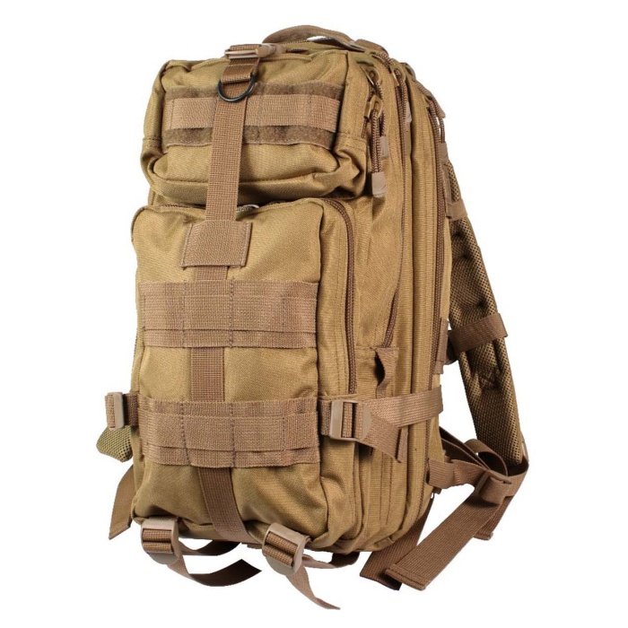 coyote 1 1