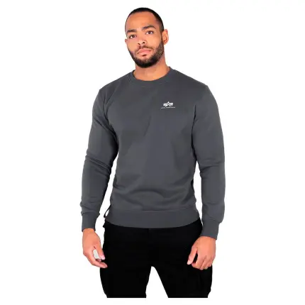 duks alpha industries basic small logo 1
