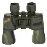 dvogled veci