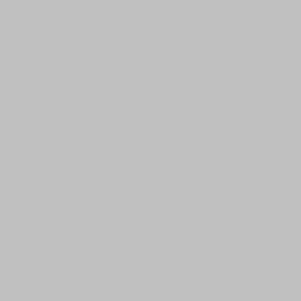 silver 1